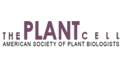 LogoThePlantCell
