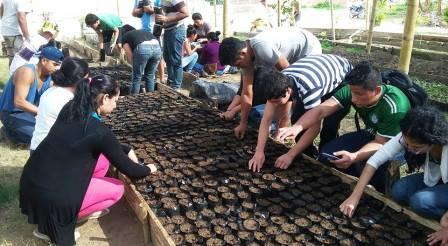 ESTUDIANTES REALIZAN SIEMBRA DE ESPECIES MADERABLES EN GRANJA DE ANDIL