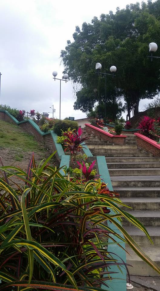 DEPARTAMENTO DE ÁREAS VERDES LIMPIA Y EMBELLECE LA UNIVERSIDAD