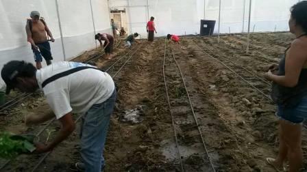 UNESUM Y SU VINCULACIÓN CON LA SOCIEDAD EN SALANGO