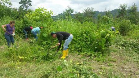 ESTUDIANTES DE LA CARRERA DE INGENIERÍA FORESTAL EJECUTAN PRACTICAS DE CAMPO EN LOS PREDIOS DE LA UNESUM