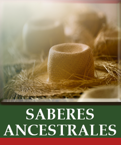 SABERES