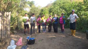 Imagen1