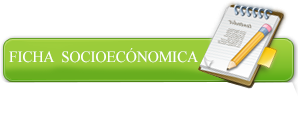 fICHA SOCIOECONOMICA
